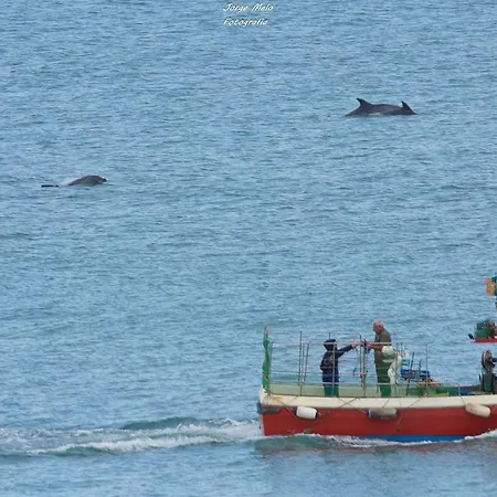 Casa Anita 公寓 拉哥斯