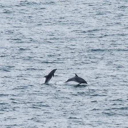 Casa Anita * Λάγος